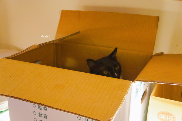 cm20170718___f0f41f682f31edcdd4d00055d9f