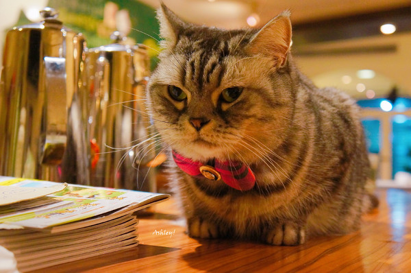 cm20170718___10a6e4c01d47a3039c814b698a8