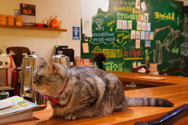 cm20170718___0877cd2712c1ec0919482fa1eb7