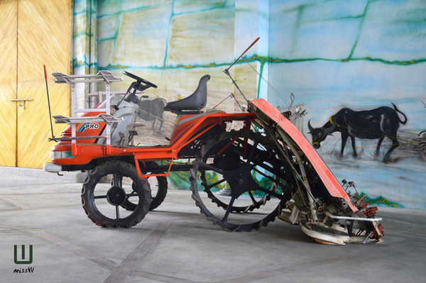 關山米國學校:台東|關山米國學校、古早味大碗公飯 一年僅二收的限定美味 重新找回吃米的原味感動 關山米國學校:台東|關山米國學校、古早味大碗公飯 一年僅二收的限定美味 重新找回吃米的原味感動