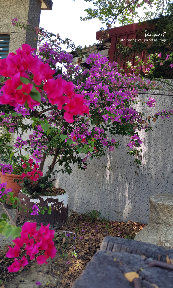 保安車站：【觀光景點】好拍的古早味 保安車站