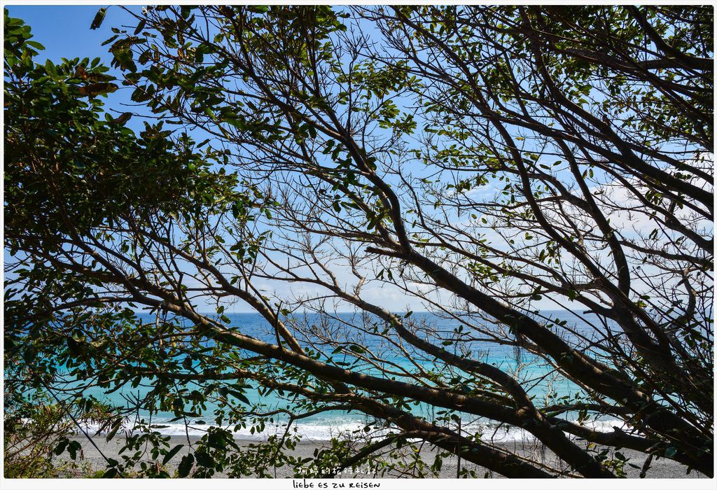 DSC_0247.jpg DSC_0247.jpg