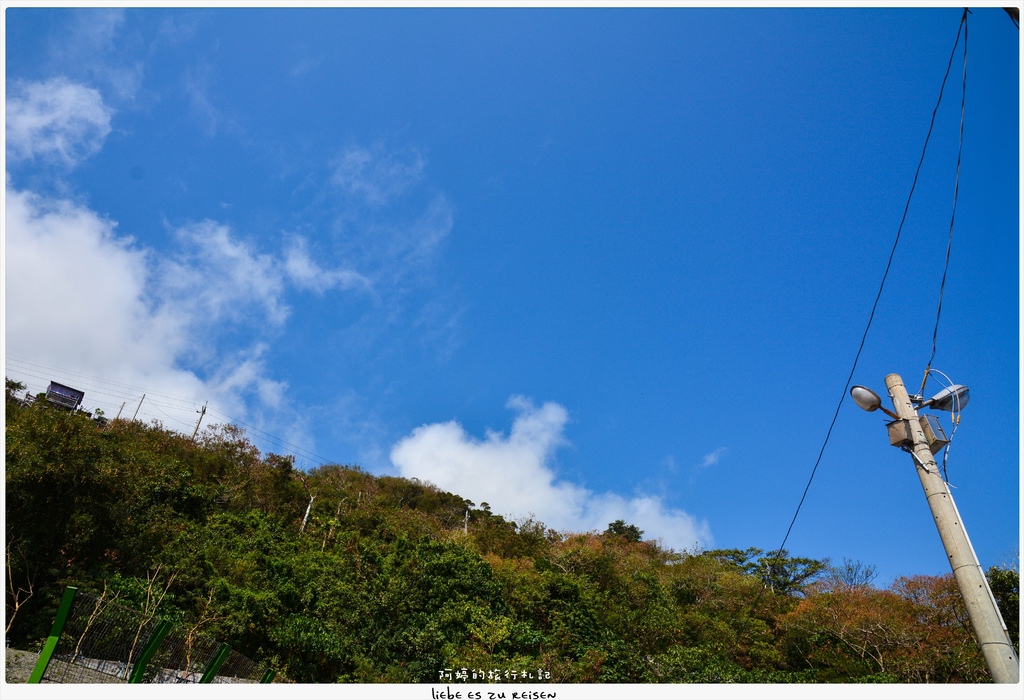 DSC_0239.jpg DSC_0239.jpg