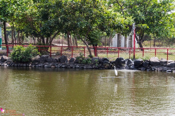 南州糖廠:屏東︱台糖南州觀光糖廠 100元玩一整天的充氣滑梯,冷門景點不用人擠人! 南州糖廠:屏東︱台糖南州觀光糖廠 100元玩一整天的充氣滑梯,冷門景點不用人擠人!