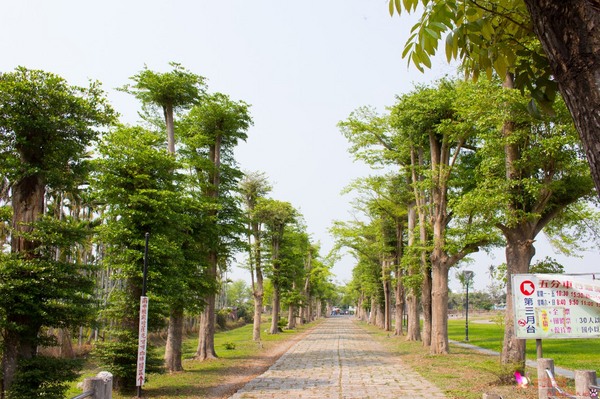 南州糖廠:屏東︱台糖南州觀光糖廠 100元玩一整天的充氣滑梯,冷門景點不用人擠人! 南州糖廠:屏東︱台糖南州觀光糖廠 100元玩一整天的充氣滑梯,冷門景點不用人擠人!