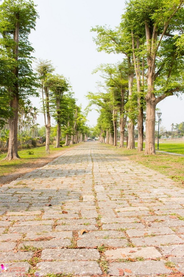 南州糖廠:屏東︱台糖南州觀光糖廠 100元玩一整天的充氣滑梯,冷門景點不用人擠人! 南州糖廠:屏東︱台糖南州觀光糖廠 100元玩一整天的充氣滑梯,冷門景點不用人擠人!