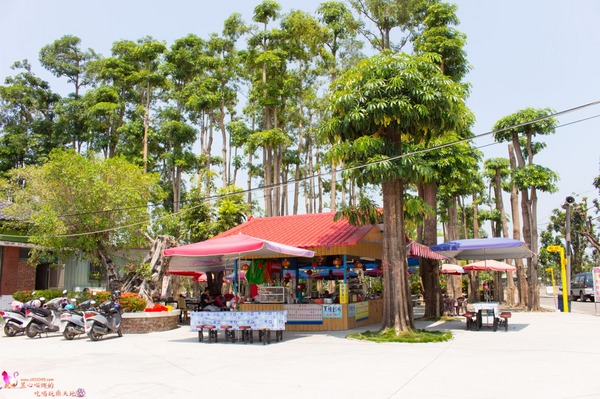 南州糖廠:屏東︱台糖南州觀光糖廠 100元玩一整天的充氣滑梯,冷門景點不用人擠人! 南州糖廠:屏東︱台糖南州觀光糖廠 100元玩一整天的充氣滑梯,冷門景點不用人擠人!