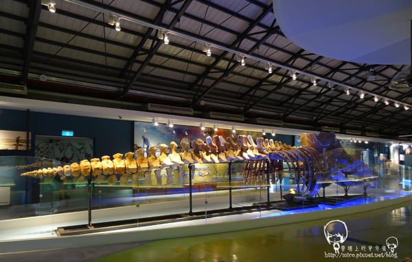 DSC00975_1 DSC00975_1