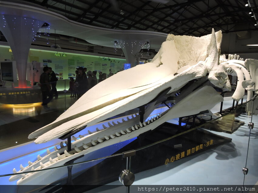 北門遊客中心、水晶教堂 (33).JPG