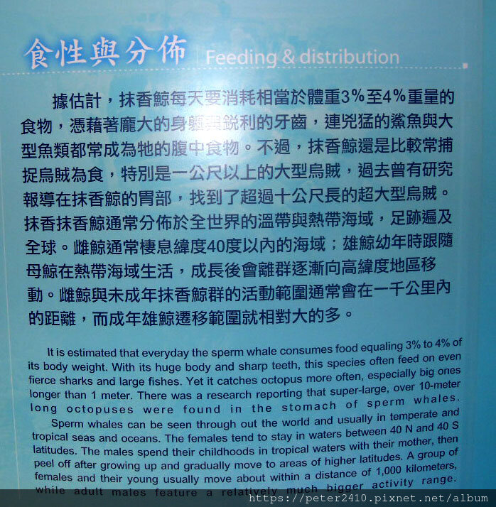 北門遊客中心、水晶教堂 (34).JPG