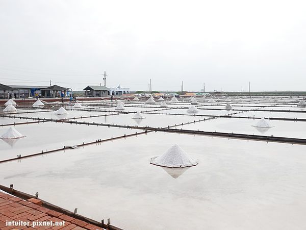 北門瓦盤鹽田9.JPG 北門瓦盤鹽田9.JPG