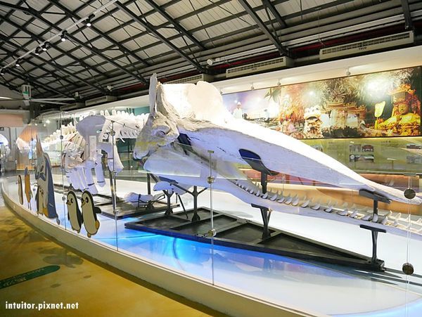 北門遊客中心31.JPG 北門遊客中心31.JPG