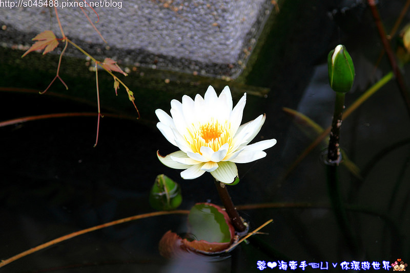 【基隆▍親子旅遊】基隆國立海洋科技博物館♥探索認識海洋生態,寓教於樂的好地方