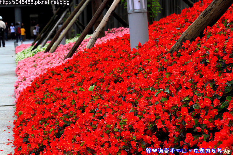 【基隆▍親子旅遊】基隆國立海洋科技博物館♥探索認識海洋生態,寓教於樂的好地方