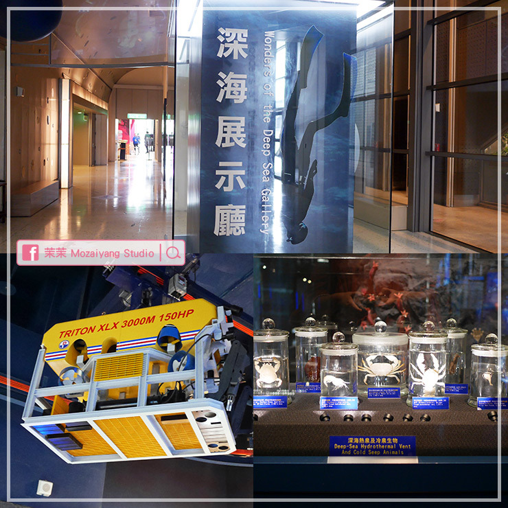 國立海洋科技博物館 國立海洋科技博物館