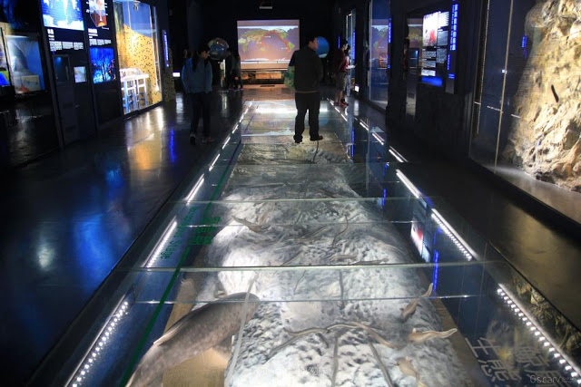 海洋科技博物館-12