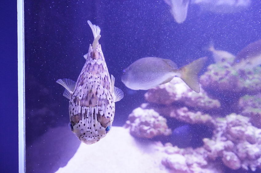 DSC08150.JPG DSC08150.JPG