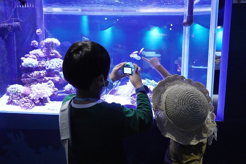 DSC08124.JPG DSC08124.JPG