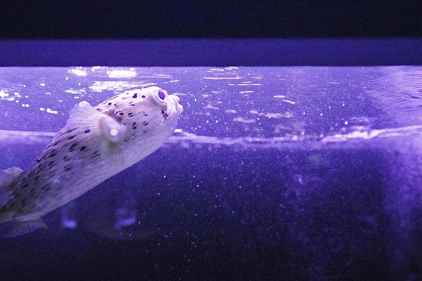 DSC08142-1.JPG DSC08142-1.JPG