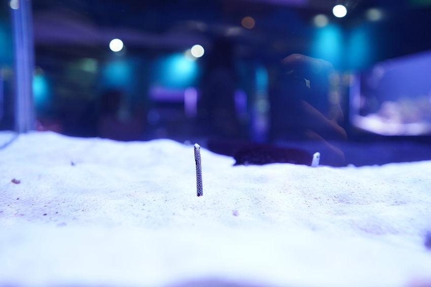 DSC08094.JPG DSC08094.JPG