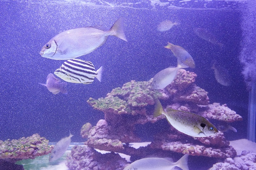 DSC08144.JPG DSC08144.JPG