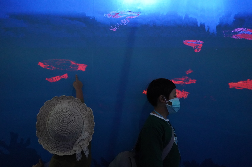 DSC08210.JPG DSC08210.JPG