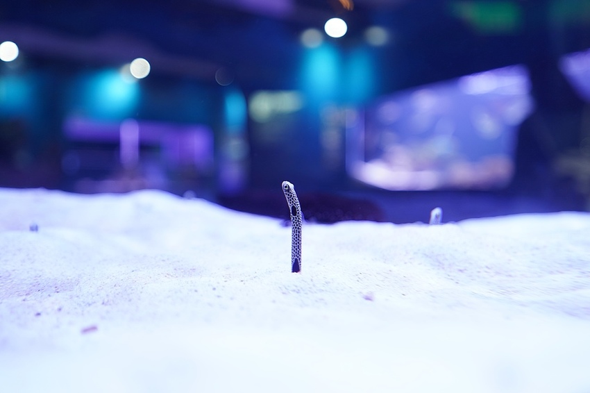 DSC08096.JPG DSC08096.JPG