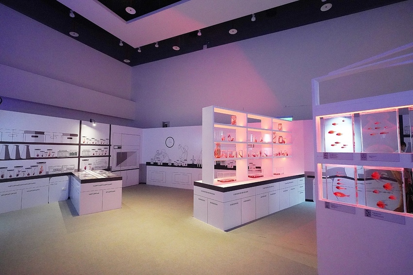 DSC08244.JPG DSC08244.JPG