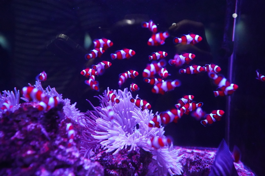 DSC08182.JPG DSC08182.JPG