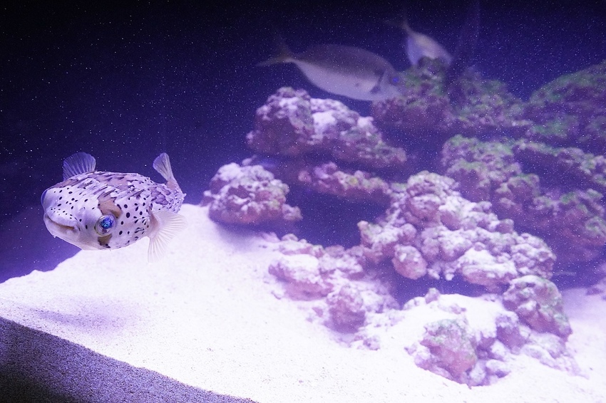 DSC08148.JPG DSC08148.JPG