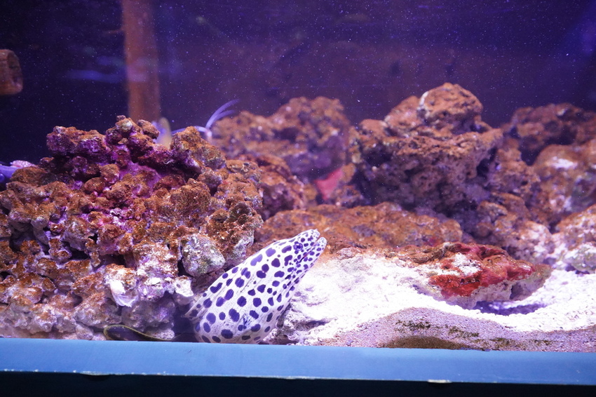 DSC08161.JPG DSC08161.JPG