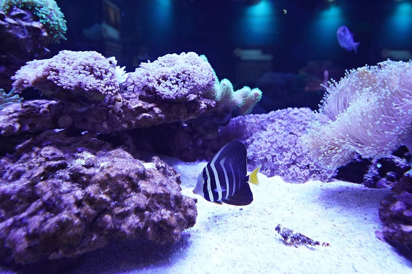 DSC08129.JPG DSC08129.JPG