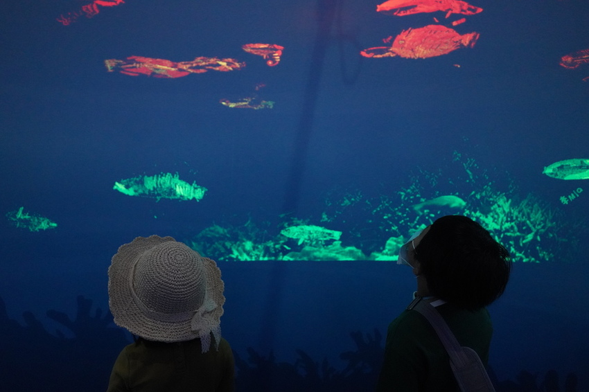 DSC08213.JPG DSC08213.JPG