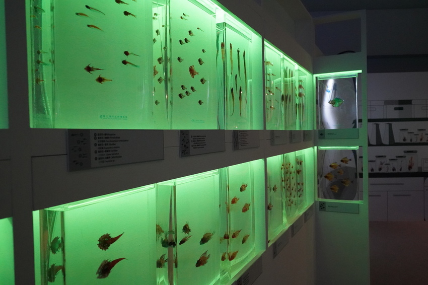 DSC08240.JPG DSC08240.JPG