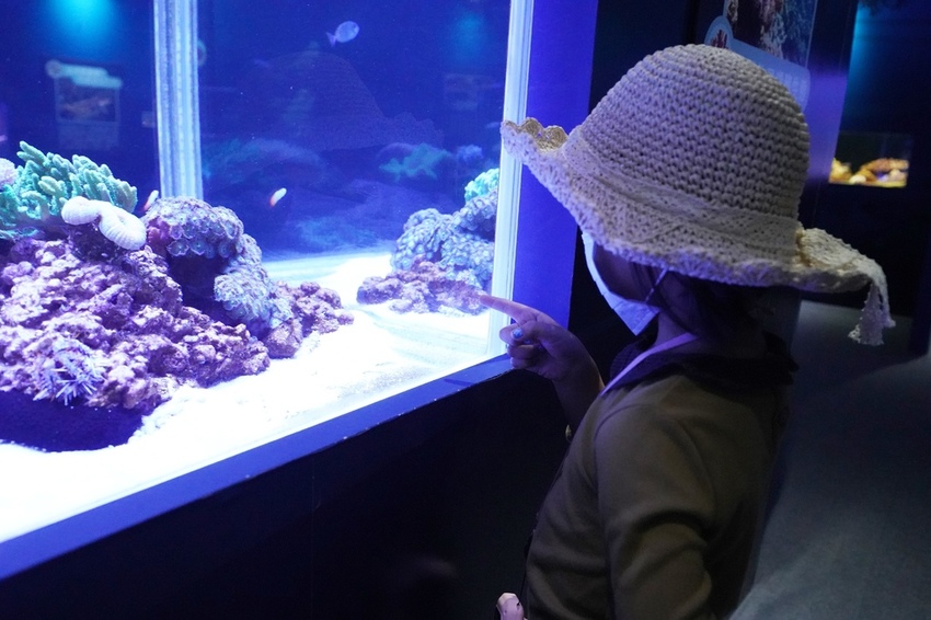 DSC08121.JPG DSC08121.JPG