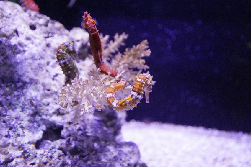 DSC08218.JPG DSC08218.JPG