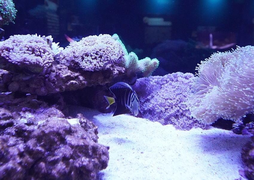 DSC08128.JPG DSC08128.JPG