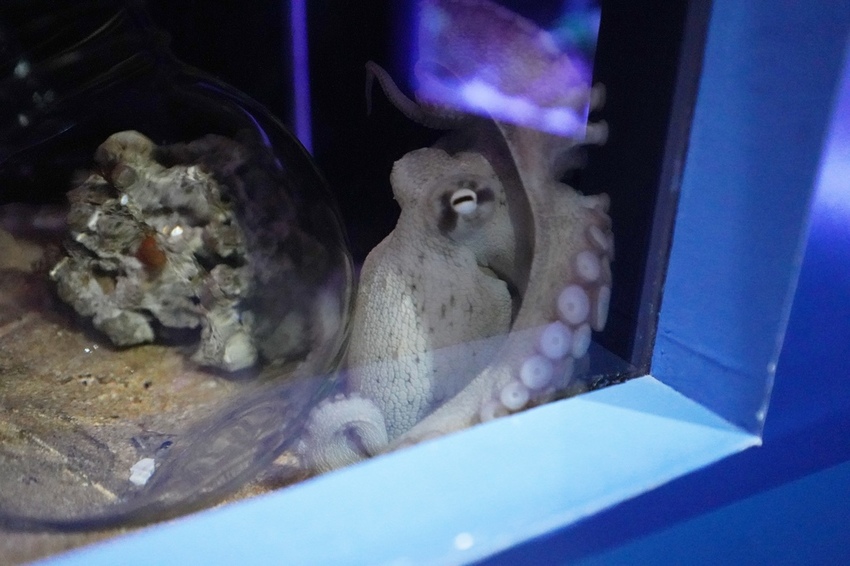 DSC08132.JPG DSC08132.JPG