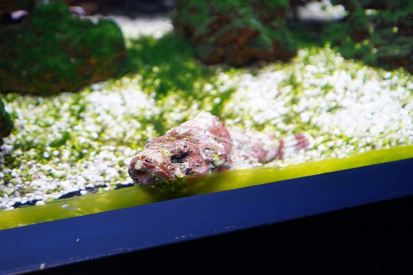 DSC08106.JPG DSC08106.JPG