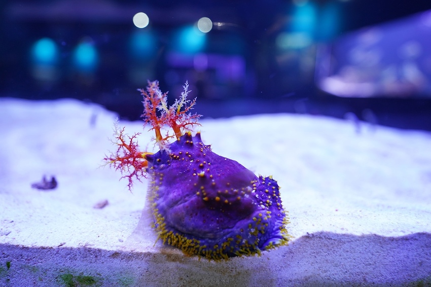 DSC08087.JPG DSC08087.JPG