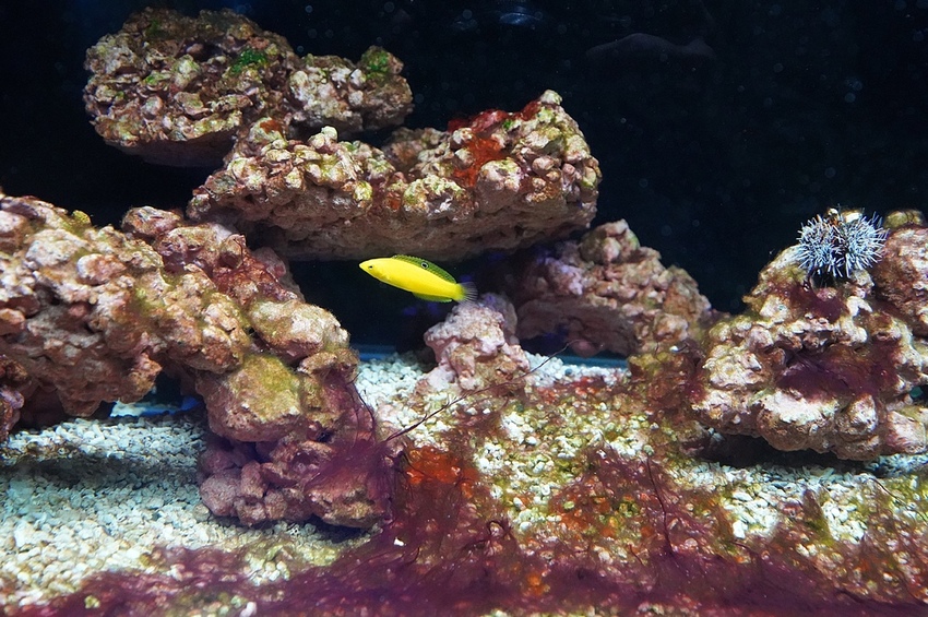 DSC08157.JPG DSC08157.JPG