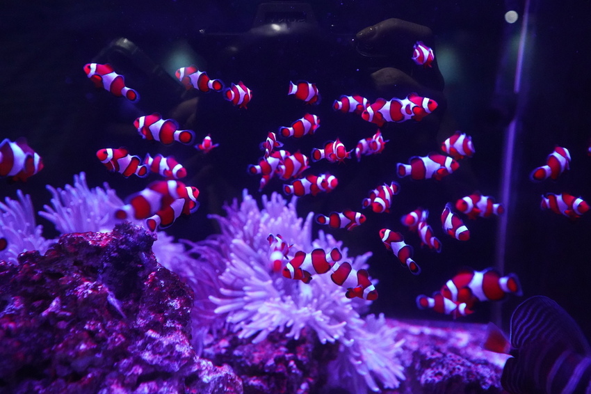 DSC08180.JPG DSC08180.JPG