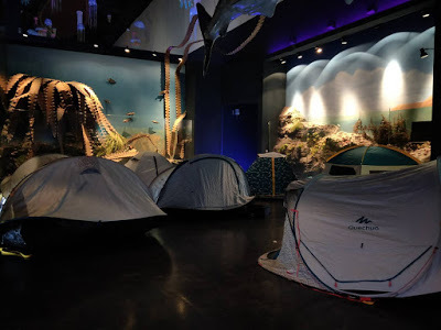 [基隆旅遊] 海科館宿營趣X愛臺灣博物館卡限量套票｜在海科館一泊二食的室內露營，免費暢遊全台9大核心博物館3個月！