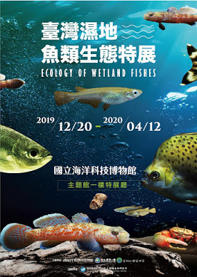 [基隆旅遊] 海科館宿營趣X愛臺灣博物館卡限量套票｜在海科館一泊二食的室內露營，免費暢遊全台9大核心博物館3個月！