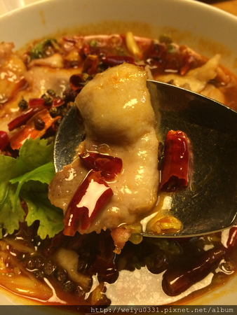 超開胃！東區Bistro 98辣味美食、捷運忠孝復興人氣料理－《開飯川食堂》