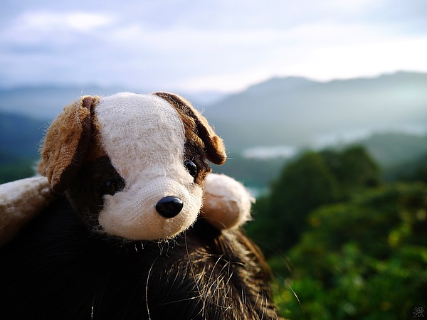 相片 13-9-5 下午5 15 56.jpg 相片 13-9-5 下午5 15 56.jpg