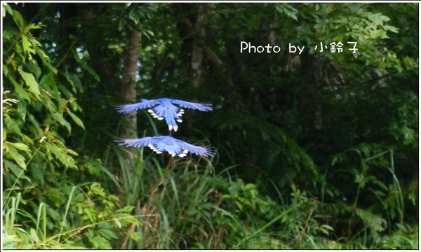石碇千島湖：石碇秘境~歹丸也有「千島湖」!~