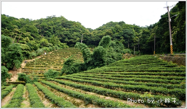 石碇千島湖：石碇秘境~歹丸也有「千島湖」!~