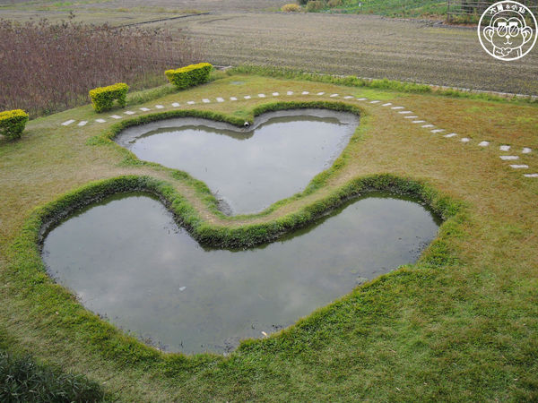 雙心池塘：作伙來企投【彰化大村･雙心池塘】彰化熱門打卡景點
