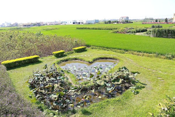 雙心池塘:【彰化景點】遇見希臘風~和平社區大村雙心池塘,增添新花樣的藍白色地中海裝置藝術,繞過結婚愛心拱門,戴上水藍色鑽戒,在幸福的國度裡欣喜若狂/結婚愛心拱門/藍白地中海的馬賽克拼貼城牆/水藍色鑽戒/觀賞蓮花池/雙心印記